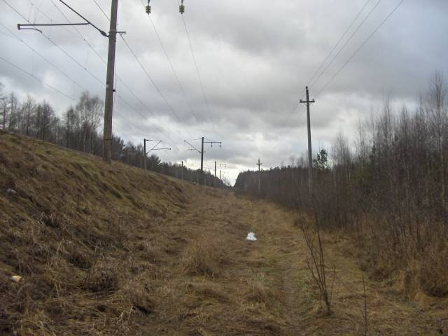MN_